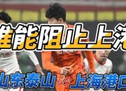 开云足球直播-上海申花主场击败山东鲁能，实现反弹