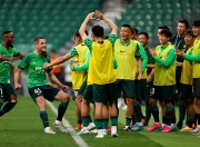 开云体育官方网站-热门球员伤愈复出，提升球队实力的简单介绍