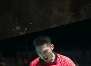 开云平台-关于泰国羽毛球队翻盘法国羽毛球队，林丹打破历史纪录的信息