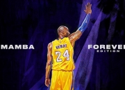 开云APP-黄金之心，加纳少年击溃红军，阿尔瓦雷斯在关键回合淬炼成钢