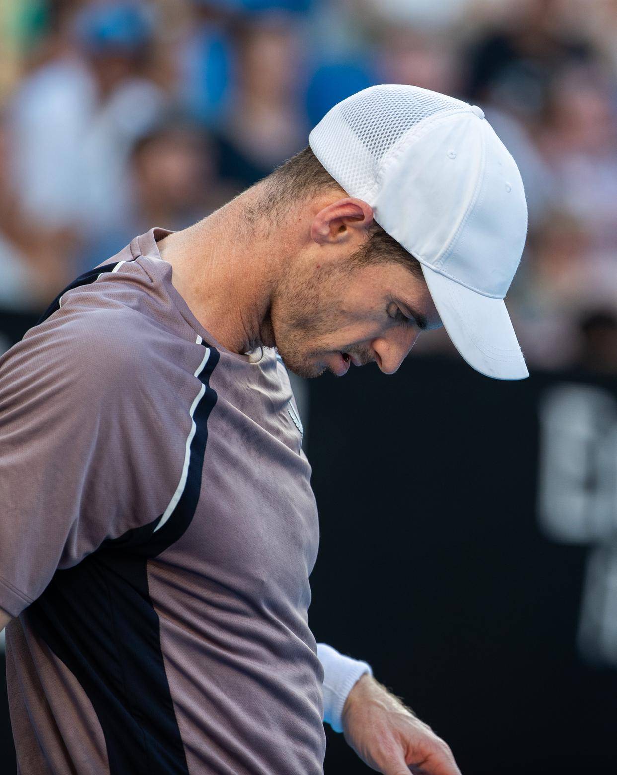 法国网球队血洗欧洲网球队，穆雷完成帽子戏法的简单介绍