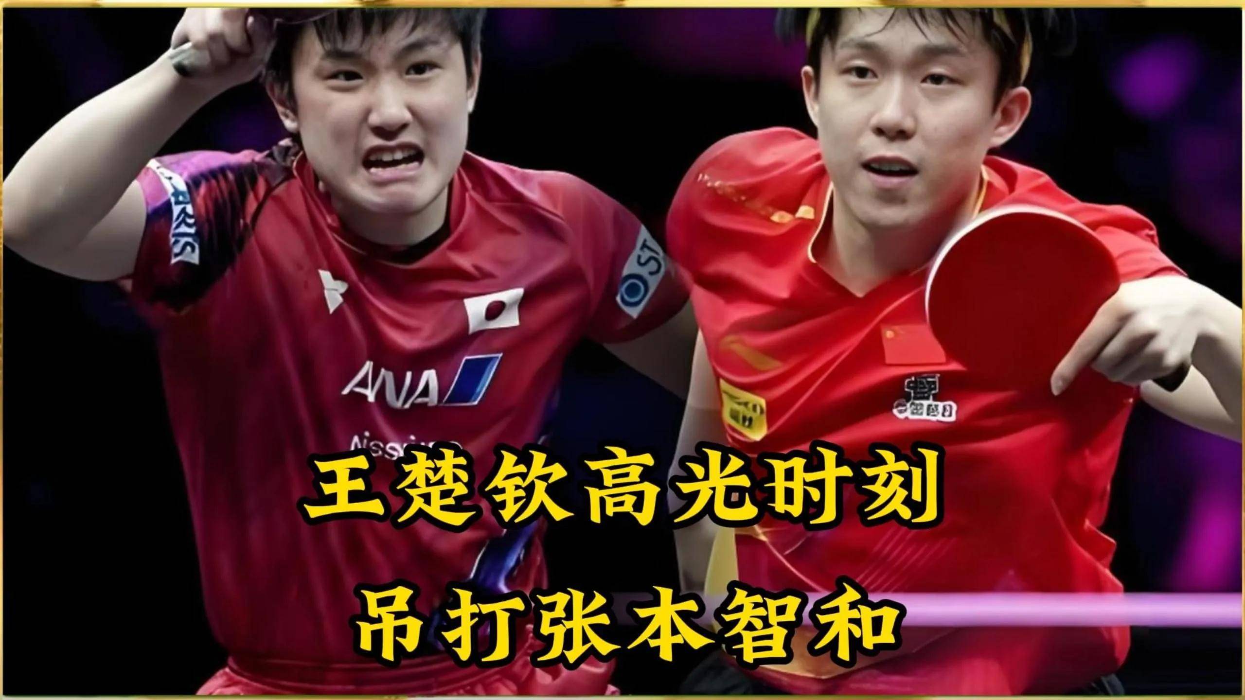 包含瑞典队险胜波兰队，张本智和关键制胜的词条