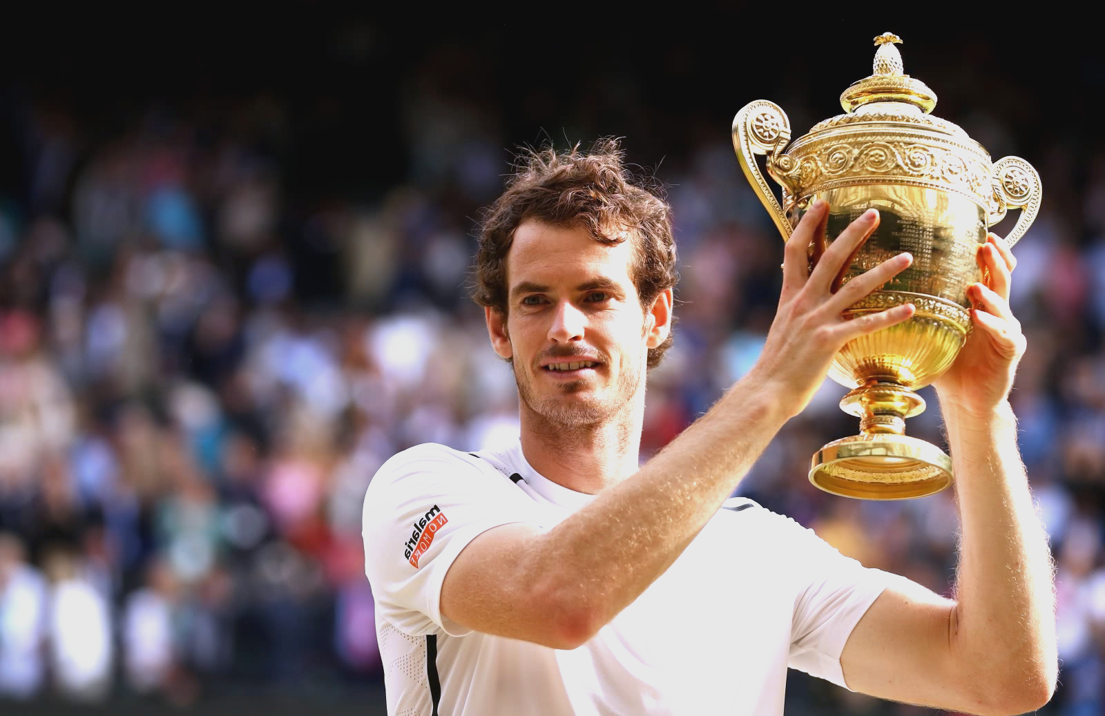 关于德国网球队横扫英国网球队，穆雷爆发神勇的信息