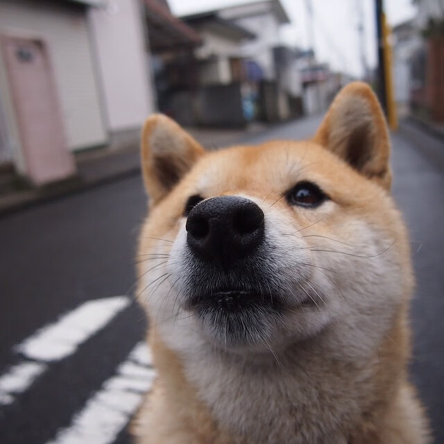 赛道与球场，伦纳德的终极接管与广东队的强势晋级