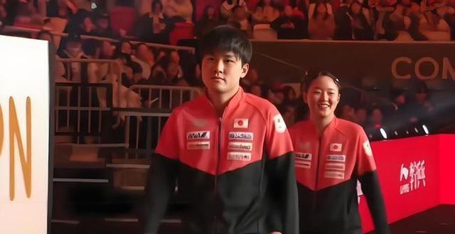 关于韩国队绝杀法国队,张本智和统治全场的信息 关于韩国队绝杀法国队,张本智和统治全场的信息